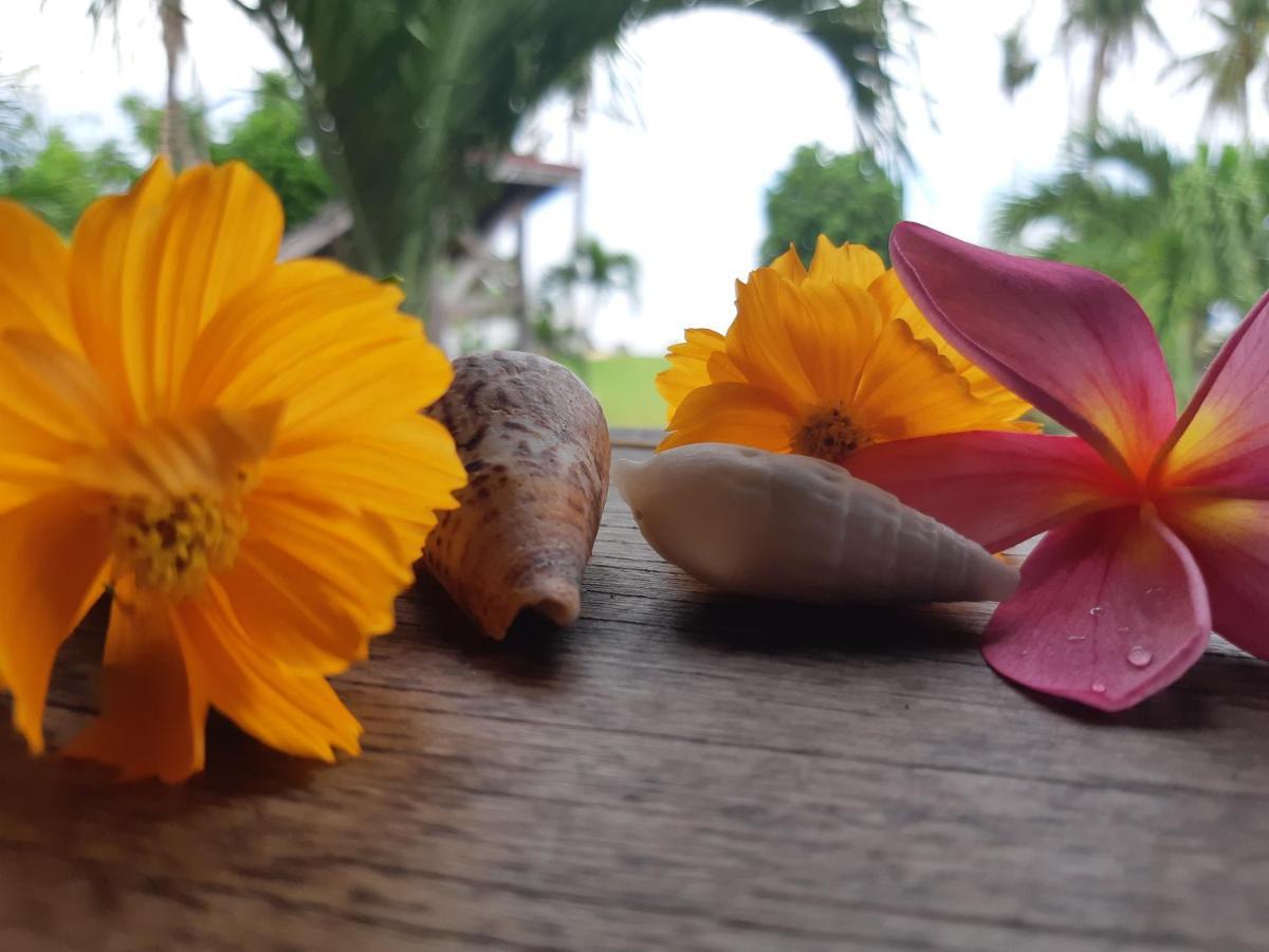 Daluyong Beach Resort General Luna  Eksteriør billede