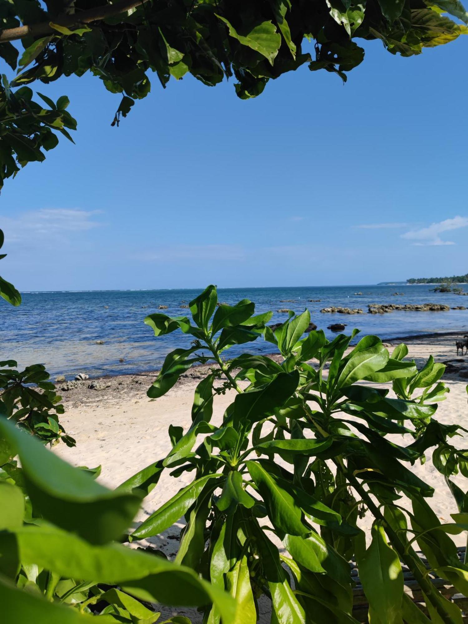 Daluyong Beach Resort General Luna  Eksteriør billede
