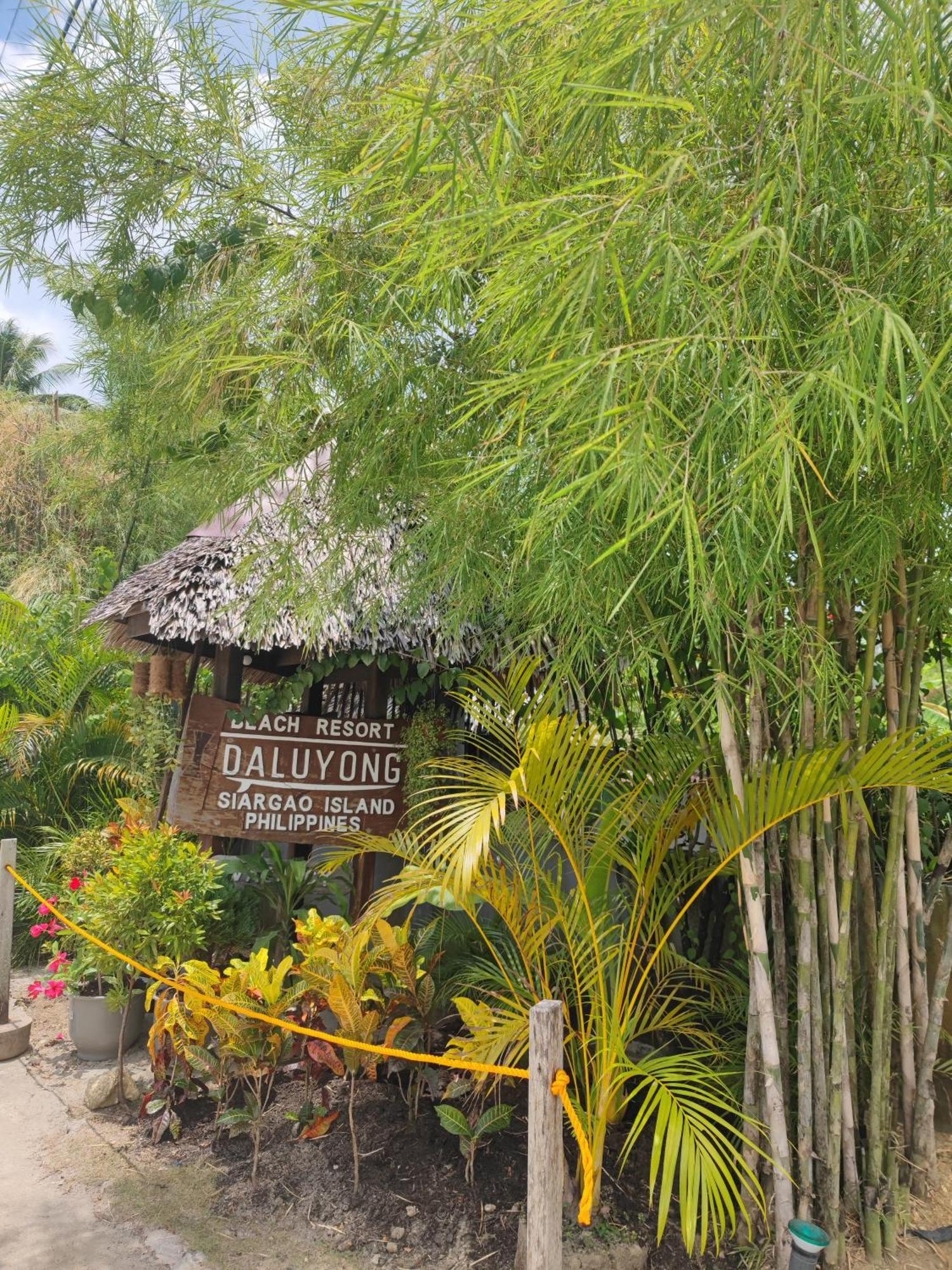 Daluyong Beach Resort General Luna  Eksteriør billede